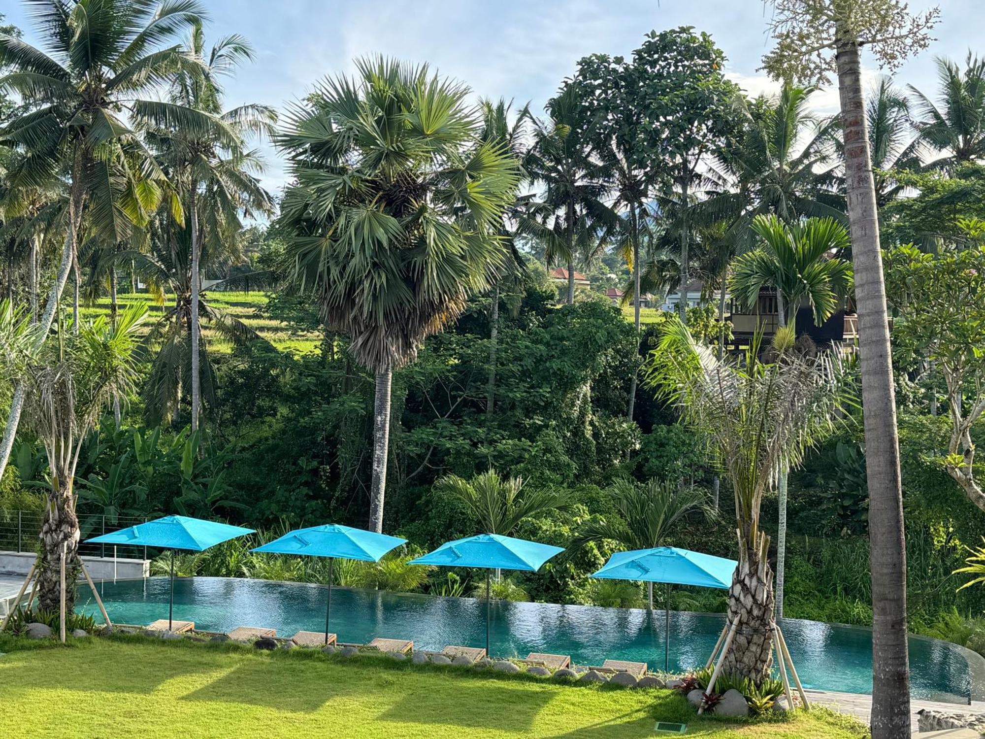 Rudra Sahashrara Bali - Ayurvedic - Health And Wellness Resort Убуд Экстерьер фото